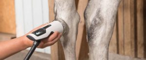 Read more about the article Diode Lasers: Advancements in Photobiomodulation Therapy for Musculoskeletal Disorders in Animals